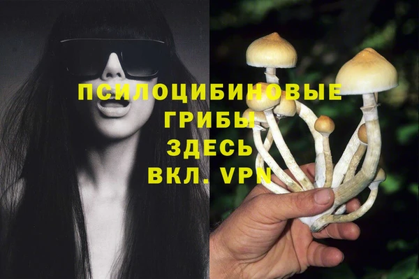 a pvp Баксан