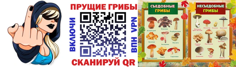 мега ONION  Верхняя Тура  Псилоцибиновые грибы MAGIC MUSHROOMS  купить  